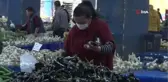 Halde 12, pazarda 15 TL olan patlıcan, Tarım Kredi Kooperatifi marketinde 19,90 TL
