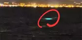 Kaçak deniz patlıcanı avlayan 5 kişiye para cezası kesildi