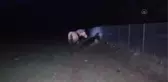 Ayağı tele takılan yılkı atı için ekipler seferber oldu