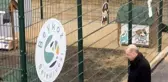 Cumhurbaşkanı Erdoğan, Beykoz hayvan barınağını ziyaret etti