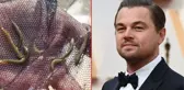 Dünyanın en çok arananlarından! 47 yıl sonra Batman'da görülen balık, Leonardo DiCaprio'nun bile dikkatini çekti