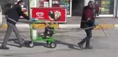 Van Büyükşehir vektörle mücadelesinin startını verdi