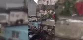 Fatih'te köpeğe şiddet uygulayan zanlı gözaltına alındı