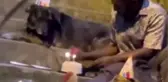 Evsiz adam doğum gününü köpeklerle kutladı, izleyenlerin gözleri doldu