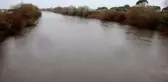 Büyük Menderes Nehri eski günlerine geri döndü