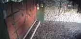Ali Kırca'nın evine giren hırsız kamerada