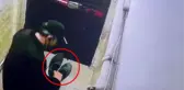 Hırsız, beğenmediği ayakkabıya tükürüp çalmaktan vazgeçti! O anlar kamerada
