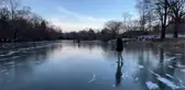 New York'ta aşırı soğuk nedeniyle Central Park'taki göl ondu