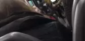 OTOBÜSE MASKESİZ BİNİP, UYARAN ŞOFÖRÜ BELEDİYE ŞİKAYET ETTİ