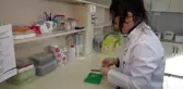 Yıllar sonra rastlanan 