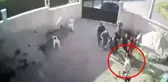 Konya'da 7 kişinin öldürülmesi olayından önce iki aile arasındaki kavganın duruşmasında arbede