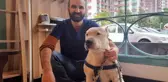 Yasaklı köpek ırklarının kayda alınma sürecinin son günü