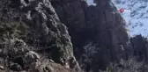 Şırnak'ın Cudi Dağında avcılığın önüne geçildi, dağ keçilerinin sayıları arttı
