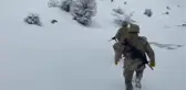 Jandarma ekipleri donmak üzere olan yaralı tilkiyi kurtardı