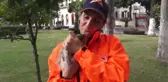 Yaralı bulunan kedi yavrusu tedaviye alındı