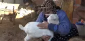 3 BACAKLI DOĞAN OĞLAK YAŞAMA TUTUNDU