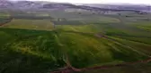 Çimlenen arpa hastalığa teslim oldu