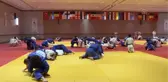 Judoda milli takım olimpiyat madalyası için çalışıyor
