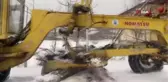 Ocak ayında nar ve erik ağaçları çiçek açtı