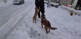 Onlar itfaiyenin neşe kaynakları