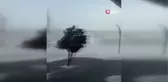 Gevaş'ta tipi etkisini gösteriyor