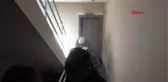 Yangında ölen kuşuna ağladı