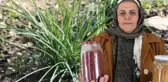 5 yıl önce ekmeye başladı! 1 dönümden 1 kilo safran alıyor, kilosunu 90 bin liraya satıyor