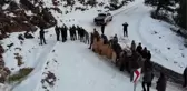 Karanlıkdere Kanyonu'na 7 yaban keçisi bırakıldı