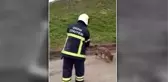 İş yerine giren tilki itfaiye ekiplerince yakalanarak doğaya bırakıldı
