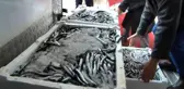 Kar bereketiyle geldi, hamsi fiyatları yarıya düştü