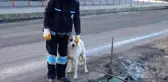 Temizliğe her sabah birlikte başlayıp birlikte bitiriyorlar