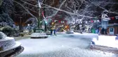 Ankara'nın simgelerinden Kuğulu Park beyaza büründü