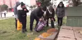 Bandırma Kent Konseyi sokak hayvanlarını unutmadı