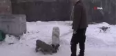Kaymakam Güder, sokak hayvanlarını unutmadı