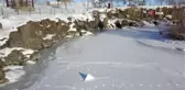 Balık göçünün en güzel şekilde izlendiği Deli Çay dondu