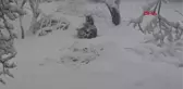 KARIN İÇİNDE ZIPLAYIP YUVARLANAN ATIN SEVİNCİ GÖRENLERİ GÜLÜMSETTİ
