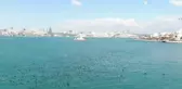 Kız Kulesi açıklarında karabatakların eşsiz dansı görenleri mest etti
