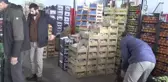 Doğu'ya gelen sebze ve meyvelerde don yaşandı