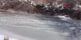 ÜZÜM BAĞINA DÜŞEN PELİKAN DONMAK ÜZEREYKEN KURTARILDI