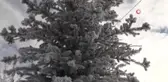 Erzurum buz kesti
