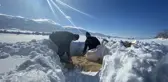Yaban hayvanları için doğaya 4 ton yem bırakıldı