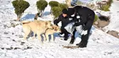 ANFA Güvenlik, sokak hayvanlarına mama ulaştırıyor