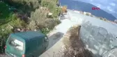 TAVUS KUŞU HIRSIZLIĞI KAMERADA
