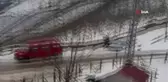 Domuzdan kaçan genç kendini otomobilin üzerine attı
