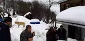 Ayancık'ta video çekip yardım isteyen aileye yetkililer ulaştı