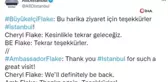 Büyükelçi Flake'den İstanbul'a teşekkür paylaşımı