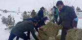 Öğrenciler yaban hayvanları için yem bıraktı