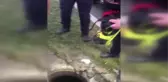 İSTANBUL-AVCILAR'DA RÖGARDA MAHSUR KALAN KÖPEĞİ İTFAİYE KURTARDI