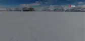 Cirit atlarının kar üstünde dansı kamerada