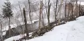 Alev alev yanan ahşap evde, 2 kardeşin cansız bedeni bulundu